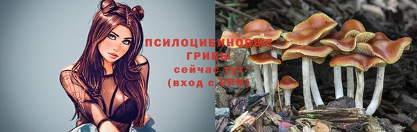 прущий лед Аркадак