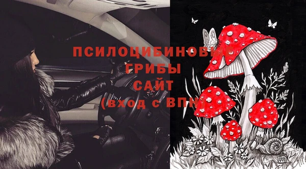 прущий лед Аркадак