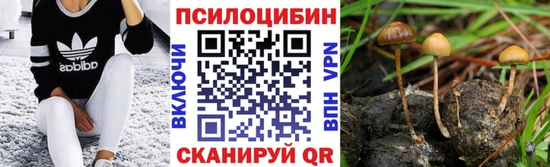 купить наркотики сайты  Минусинск  Галлюциногенные грибы Psilocybine cubensis 